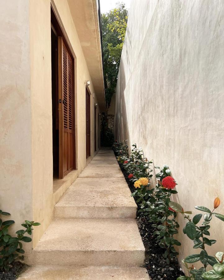 Bajo Las Hojas Campeche Ngoại thất bức ảnh